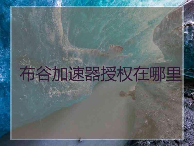 布谷加速器授权在哪里