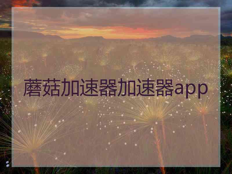 蘑菇加速器加速器app