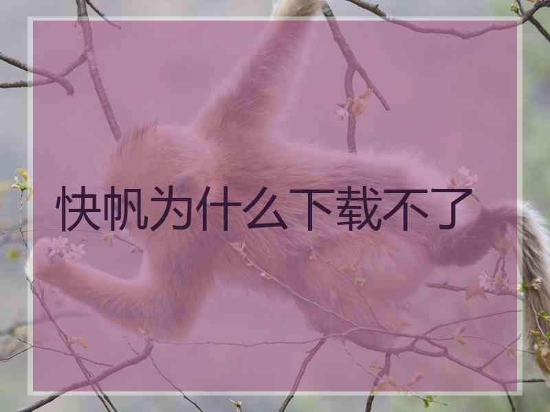 快帆为什么下载不了