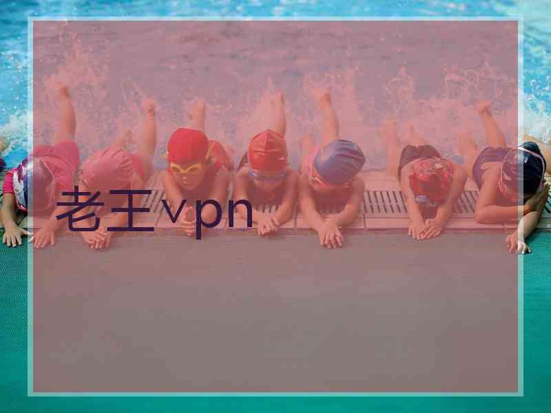 老王∨pn