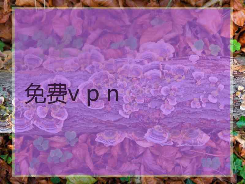免费v p n