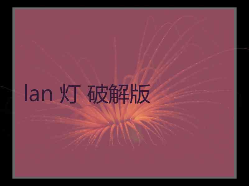 lan 灯 破解版