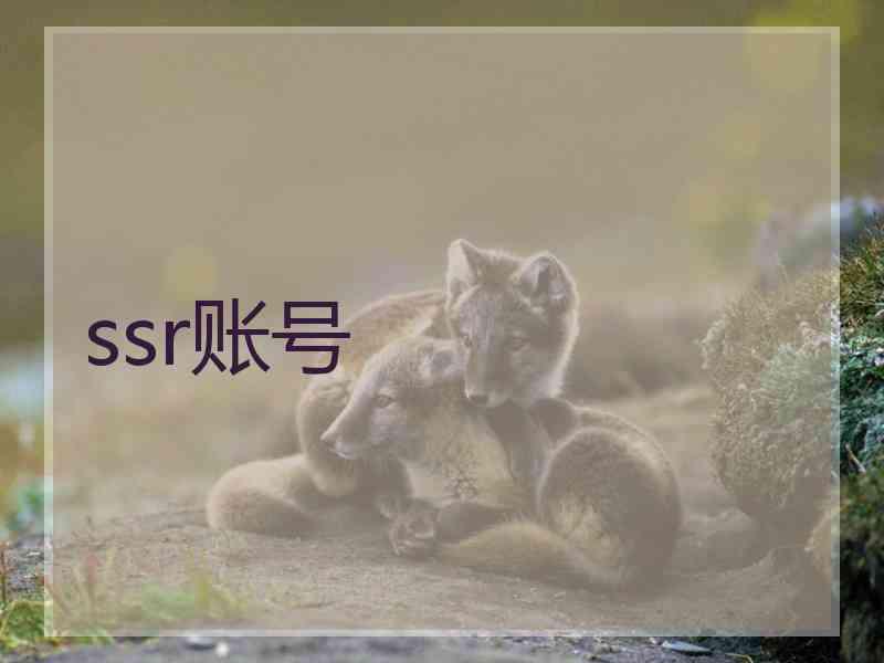 ssr账号