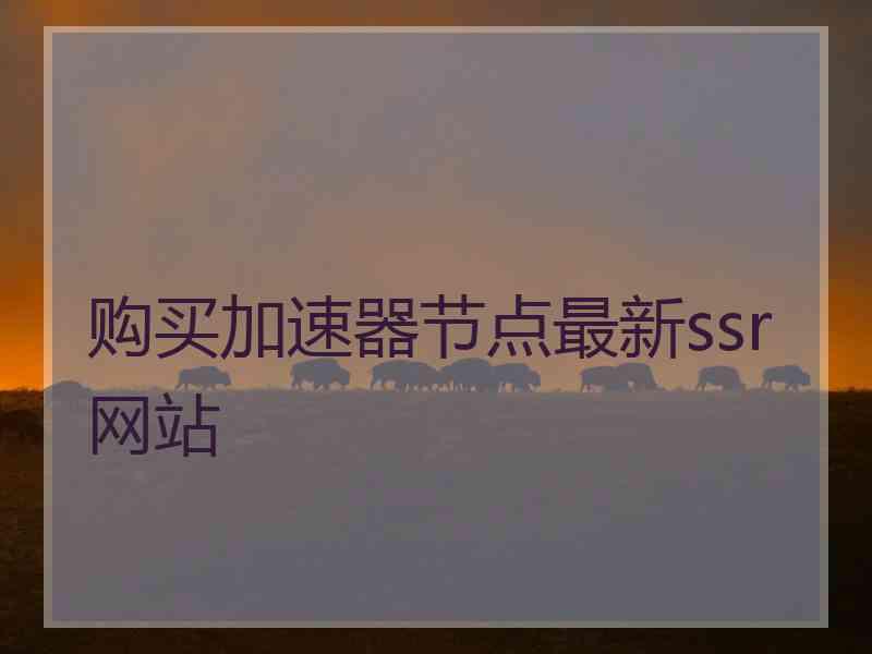 购买加速器节点最新ssr网站