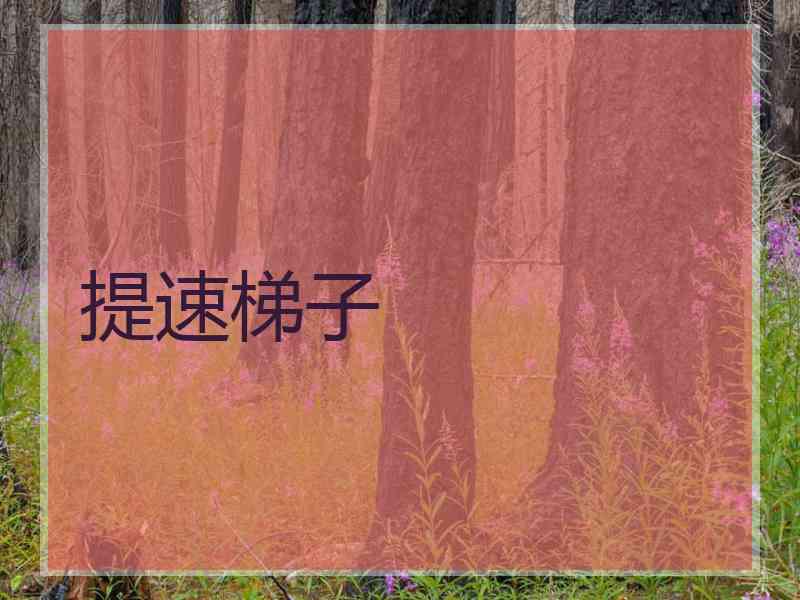 提速梯子
