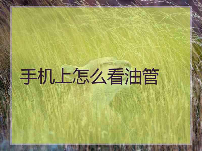 手机上怎么看油管