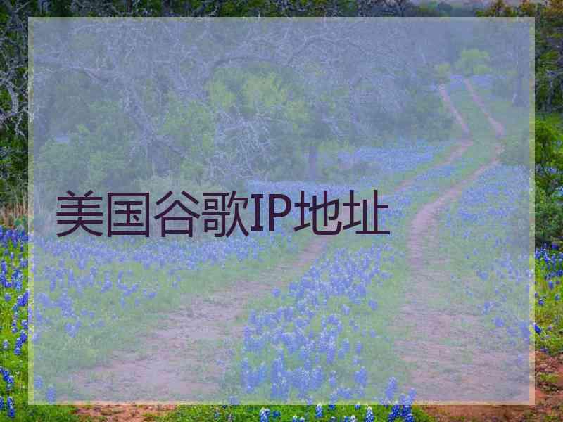 美国谷歌IP地址