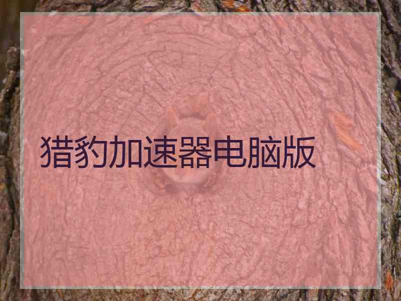 猎豹加速器电脑版