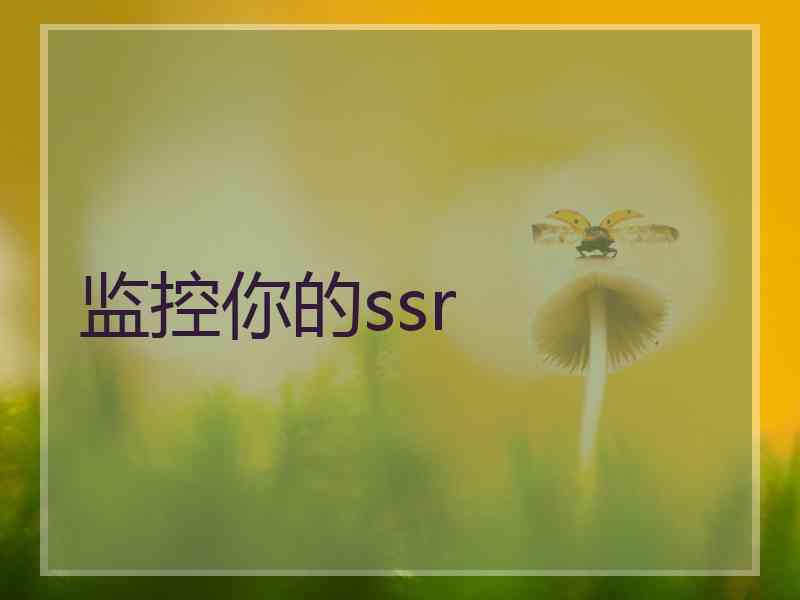 监控你的ssr