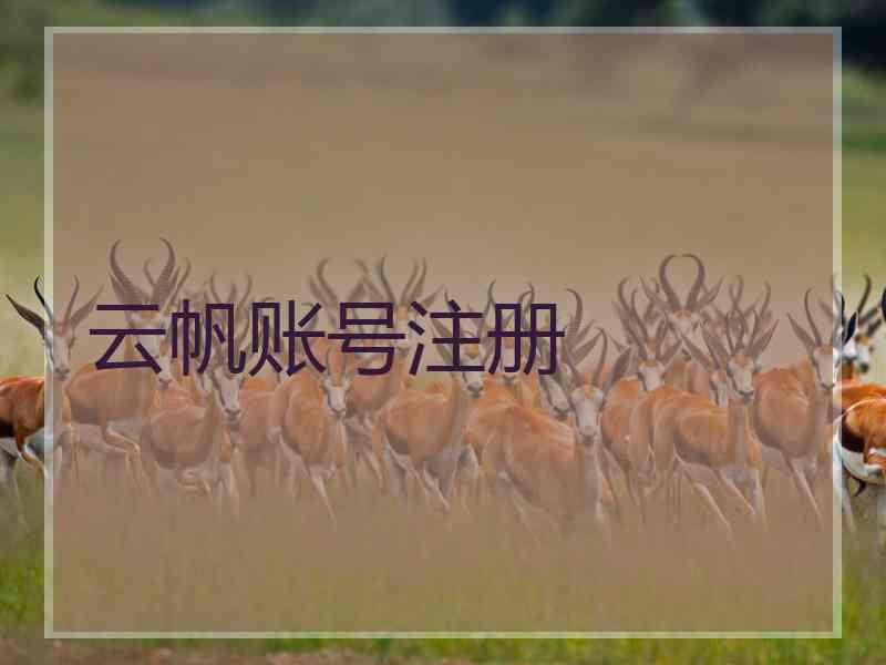 云帆账号注册