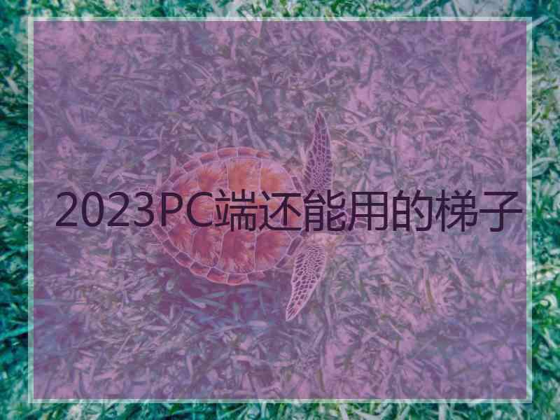 2023PC端还能用的梯子