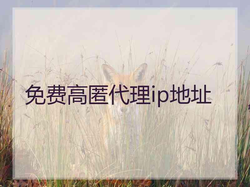 免费高匿代理ip地址