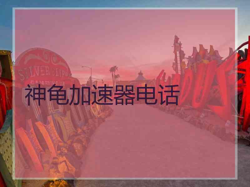 神龟加速器电话