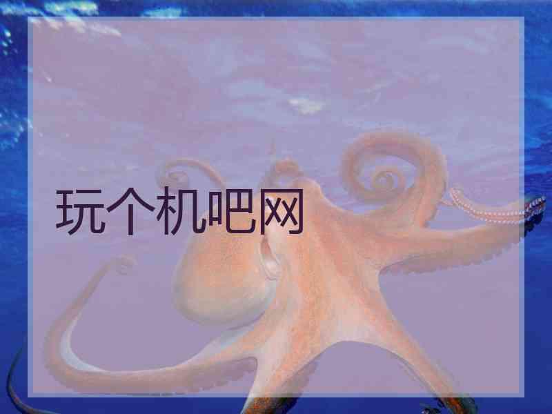 玩个机吧网