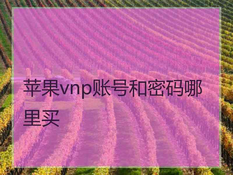 苹果vnp账号和密码哪里买