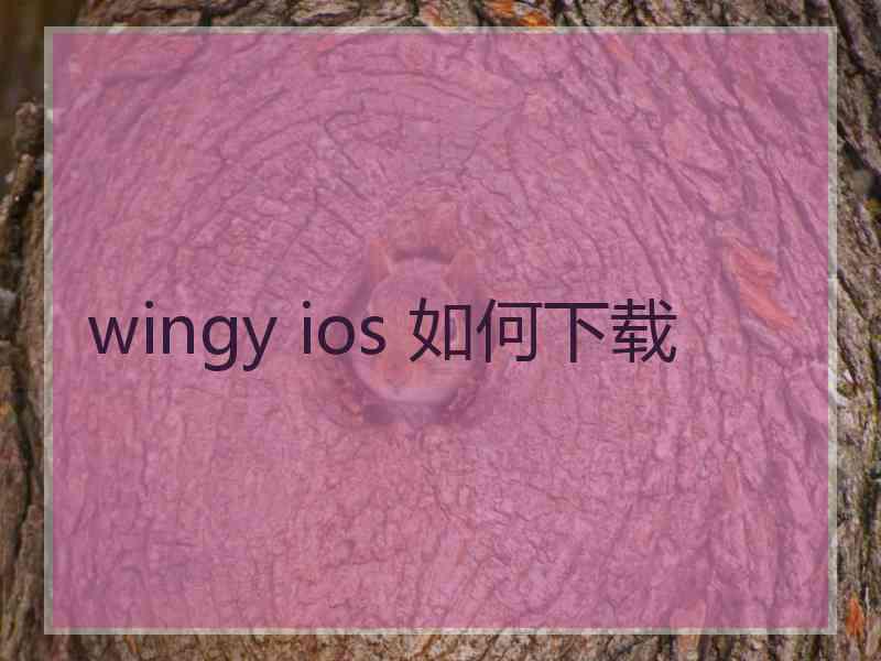 wingy ios 如何下载