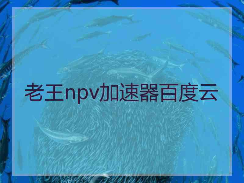 老王npv加速器百度云