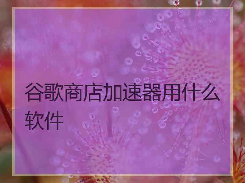 谷歌商店加速器用什么软件