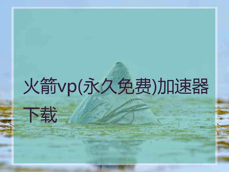 火箭vp(永久免费)加速器下载