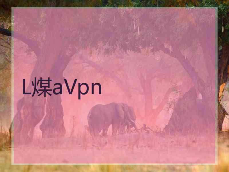 L煤aVpn
