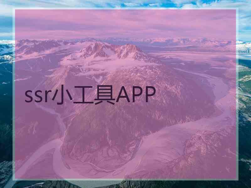 ssr小工具APP