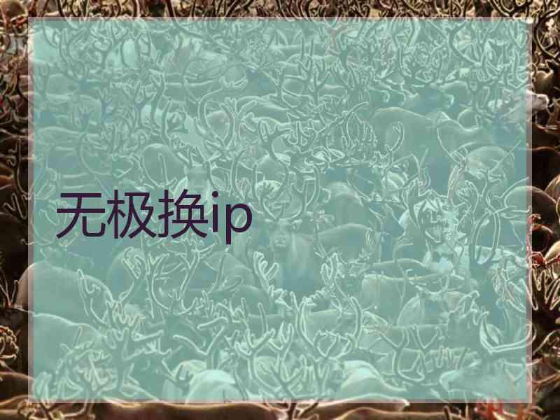 无极换ip