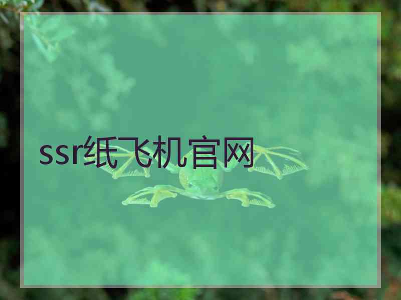 ssr纸飞机官网