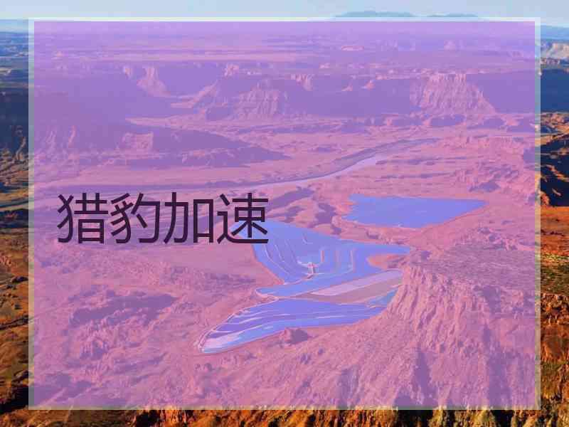 猎豹加速