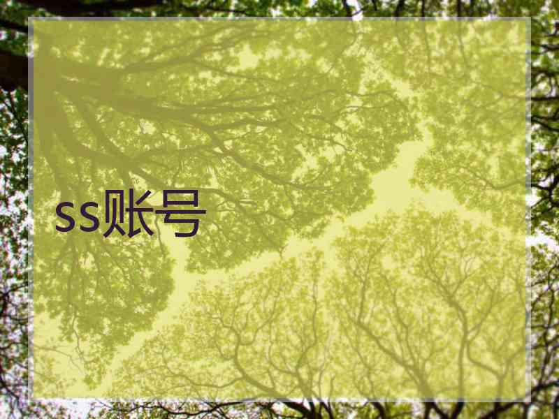 ss账号