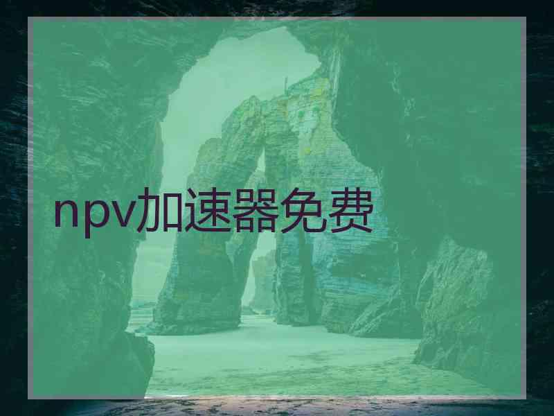 npv加速器免费