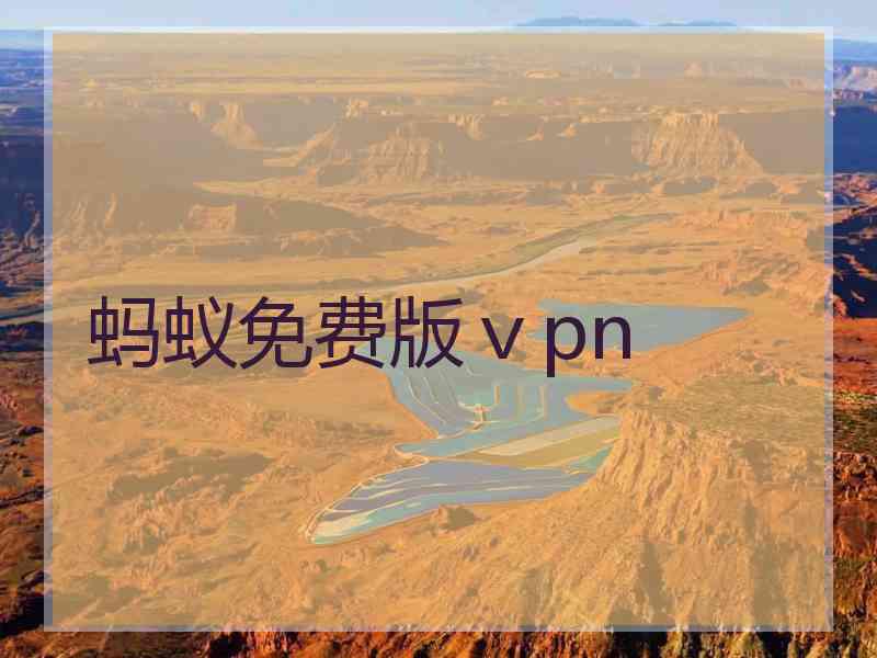 蚂蚁免费版ⅴpn