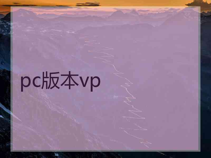 pc版本vp