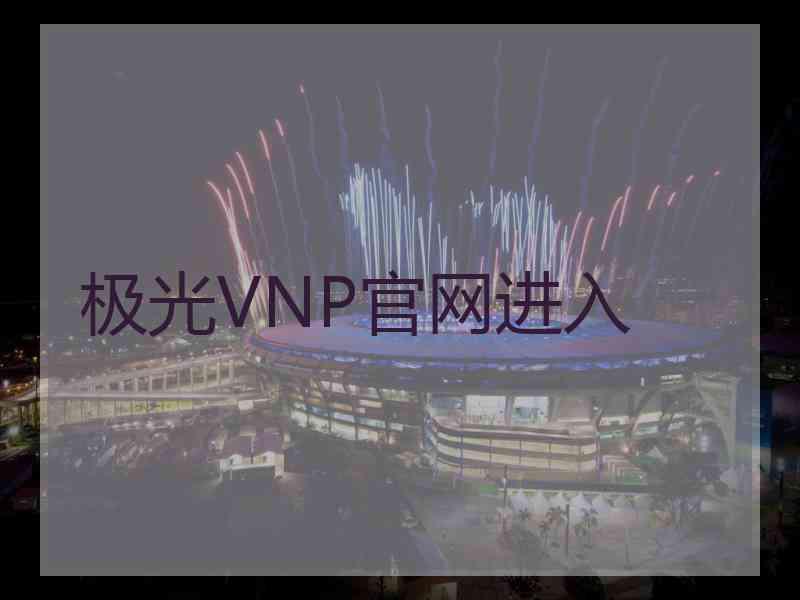 极光VNP官网进入