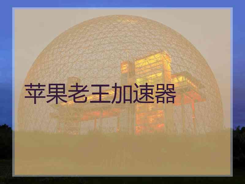 苹果老王加速器