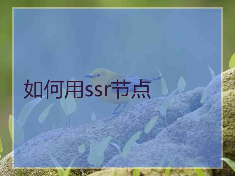 如何用ssr节点