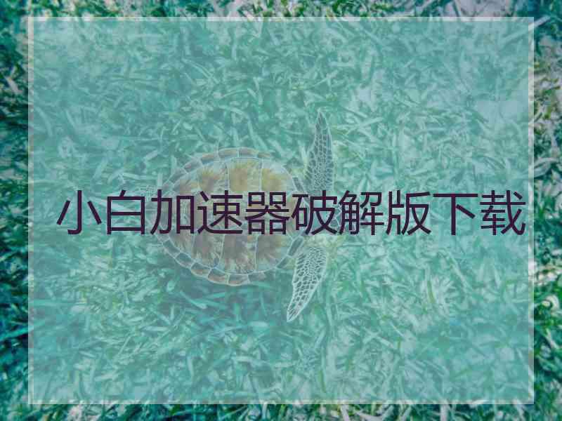 小白加速器破解版下载