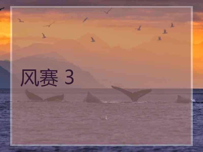 风赛 3