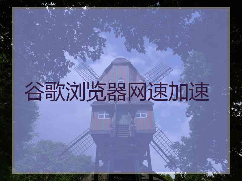 谷歌浏览器网速加速