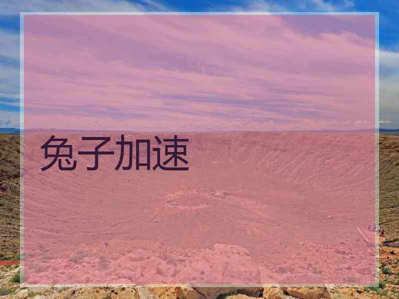 兔子加速