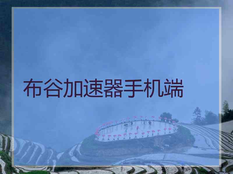 布谷加速器手机端
