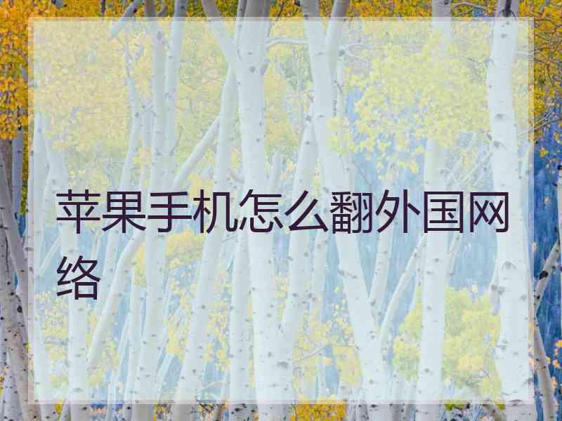 苹果手机怎么翻外国网络