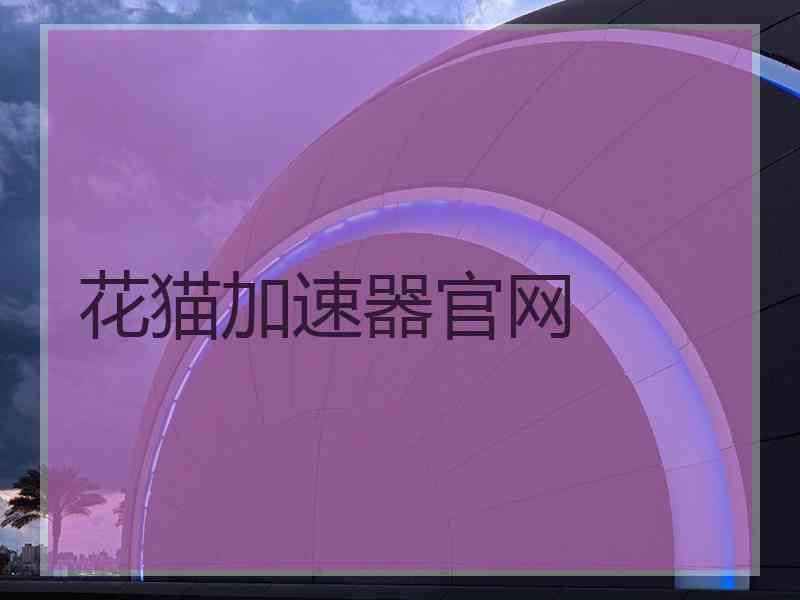 花猫加速器官网