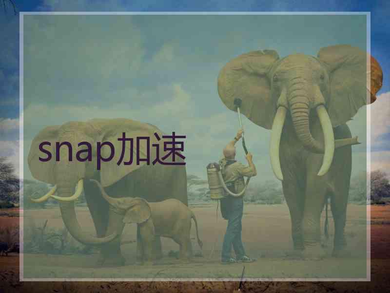 snap加速