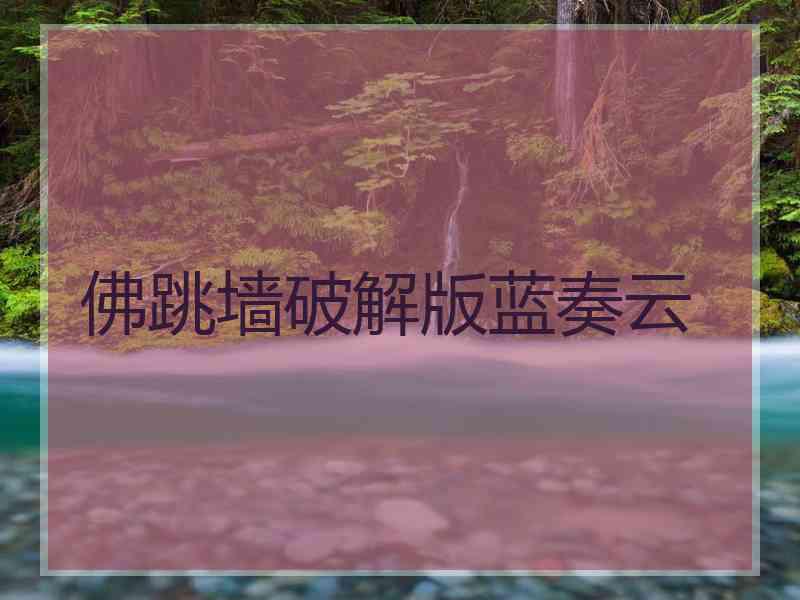 佛跳墙破解版蓝奏云