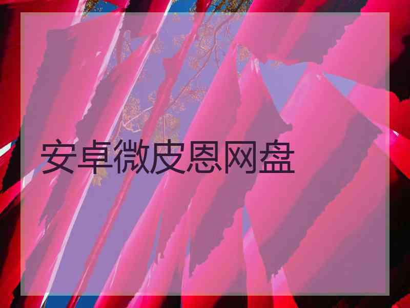 安卓微皮恩网盘