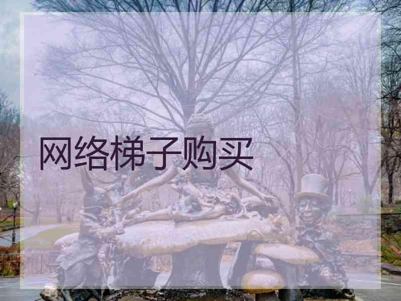 网络梯子购买