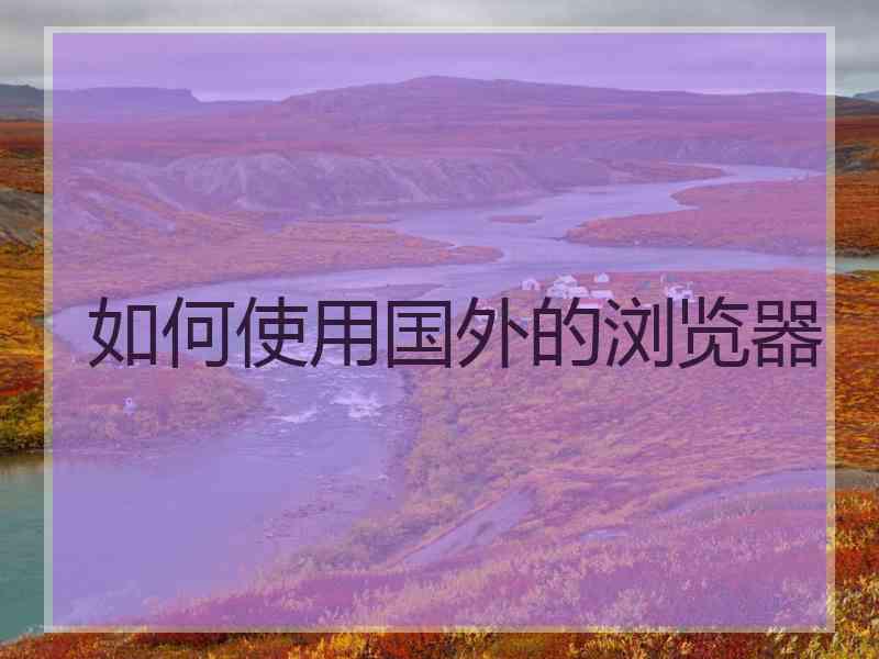 如何使用国外的浏览器