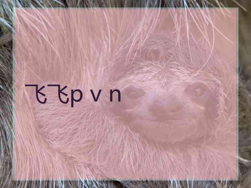 飞飞p v n