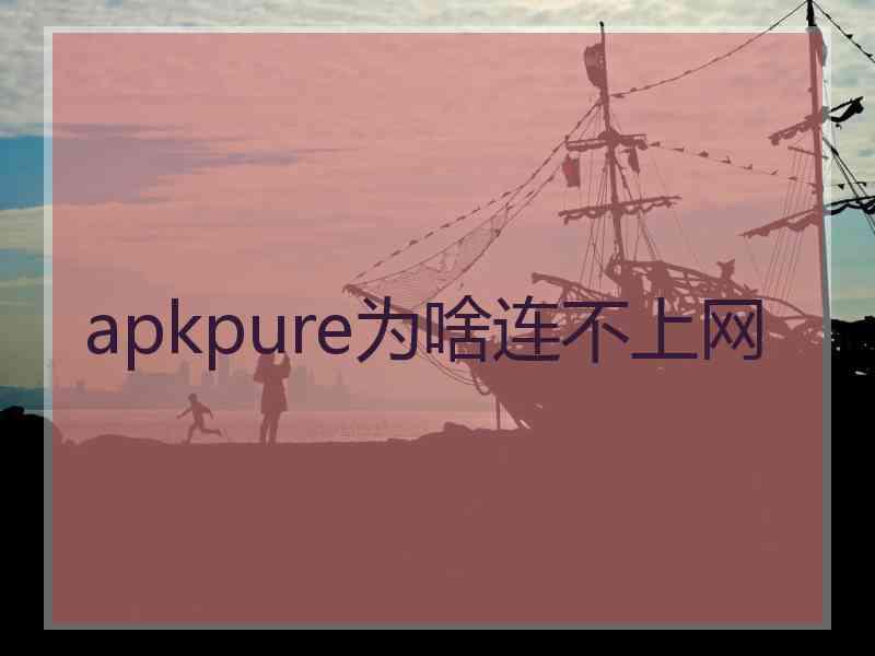 apkpure为啥连不上网