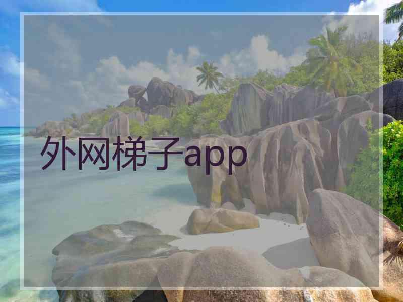 外网梯子app